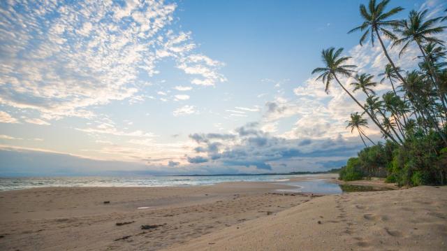 Shine Wave Turtle Beach — photo 15
