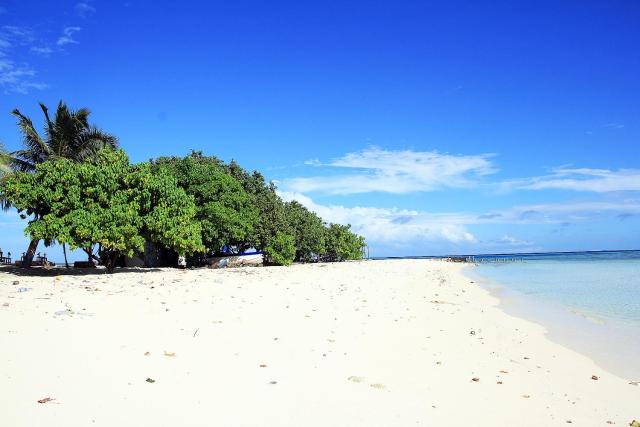 Tropic Tree Maldives — photo 9