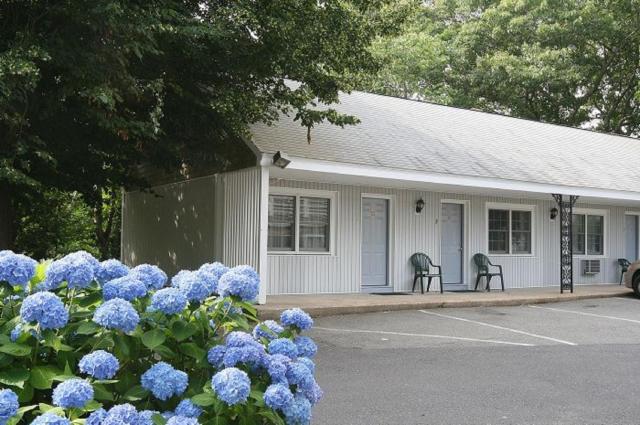Skaket Beach Motel — photo 9