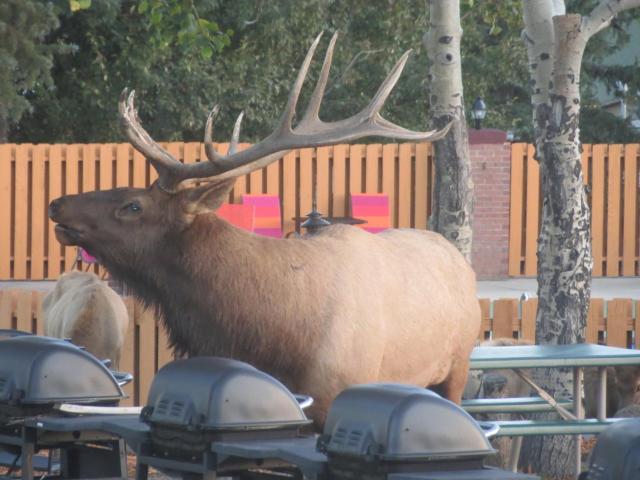 Murphy's Resort — photo 14