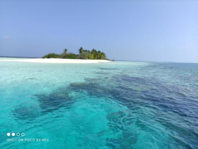 Island life Maldives Retreat & Spa — photo 15