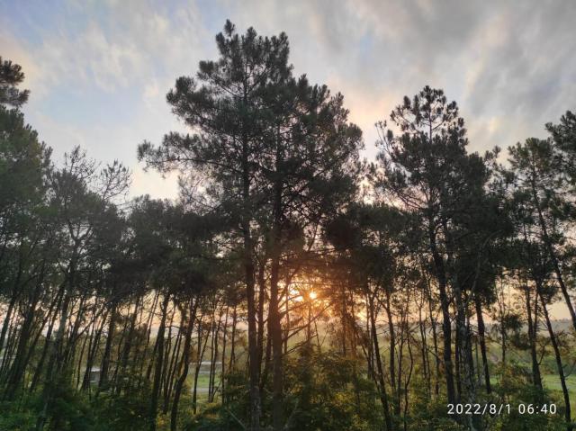 Kartuli Suli — photo 8
