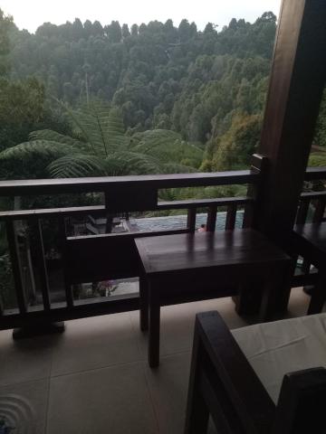 BINTANG MUNDUK — photo 24