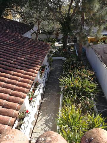 La Casita de Las Palmas VV — photo 5