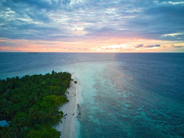 Green Leaf Omadhoo — photo 13