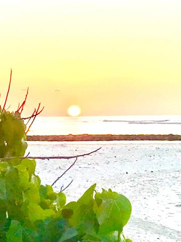 Malas Island View — photo 24