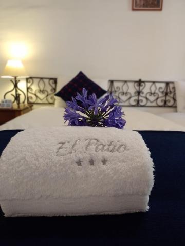 Hotel el Patio de Monterrey — photo 21
