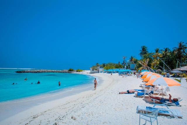 Alaika Maafushi — photo 22