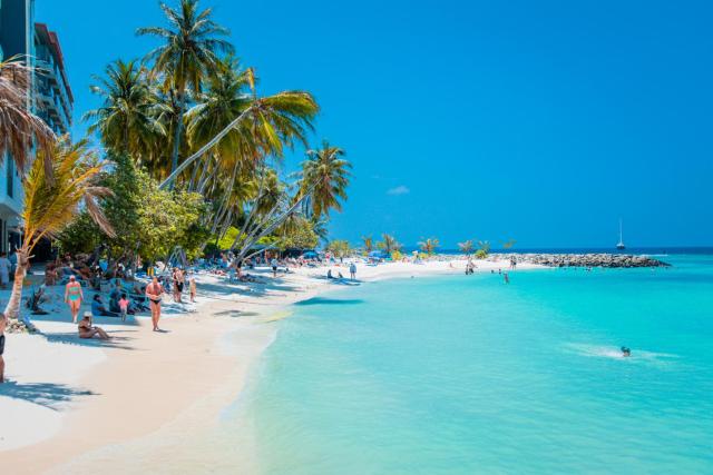 Alaika Maafushi — photo 23