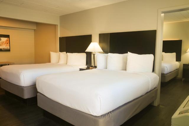 Americana Modern Hotel — photo 13