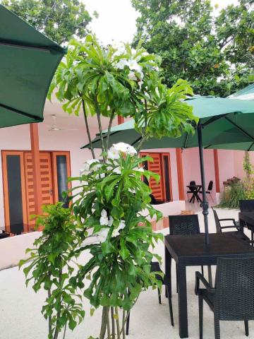 Saima Inn — photo 10
