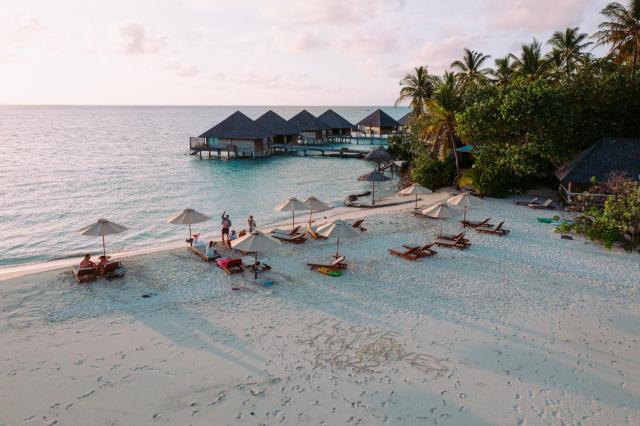 Gangehi Island Resort — photo 8