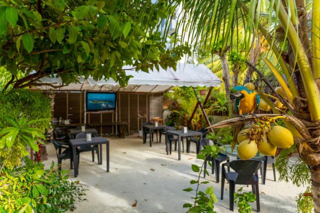 Daisy Cottage Dhangethi — photo 21