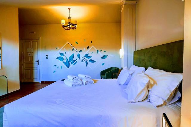 Hotel Don Manuel — photo 24