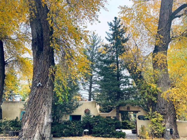 Hacienda Del Sol Historic B&B — photo 23