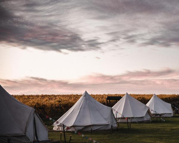 Coonawarra Bush Holiday Park — photo 1
