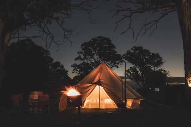 Coonawarra Bush Holiday Park — photo 17