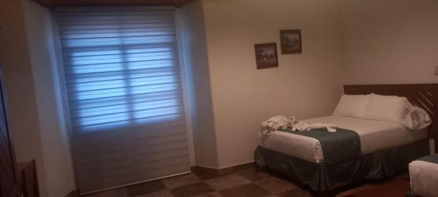 Casa Esmeralda Hotel — photo 11
