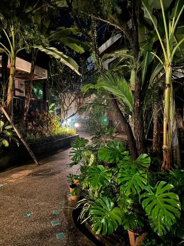 HULA HULA RESORT l truly tropical and fun wellness — photo 20