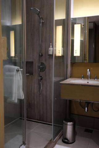 Holiday Inn New Delhi Aerocity by IHG — photo 20