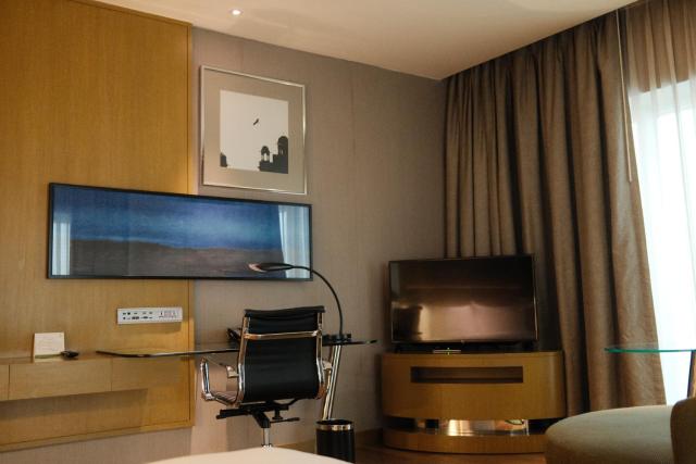 Holiday Inn New Delhi Aerocity by IHG — photo 21
