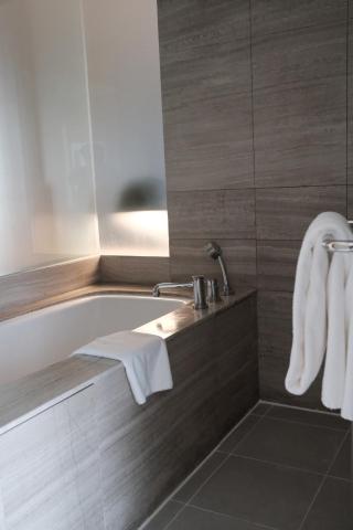 Holiday Inn New Delhi Aerocity by IHG — photo 8
