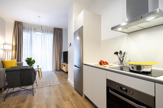 Feelathome Castilla Apartments — photo 17