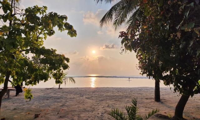 Hathaa Beach Maldives — photo 11