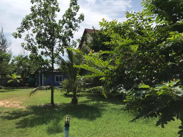 Tara House — photo 11