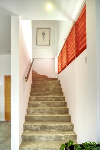 Island Ambience — photo 13