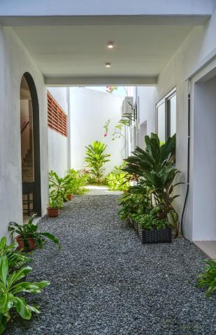 Island Ambience — photo 6
