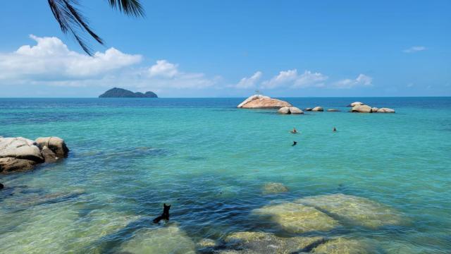 Ocean Vibes Resort — photo 12