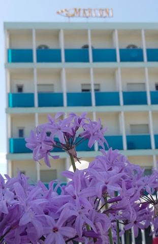 MoMo Seaview Hotel — photo 10