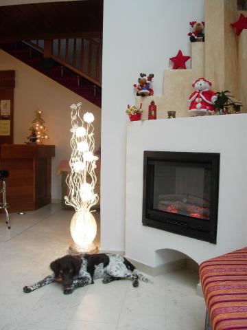 Erlebnis-Hotel-Appartements — photo 23