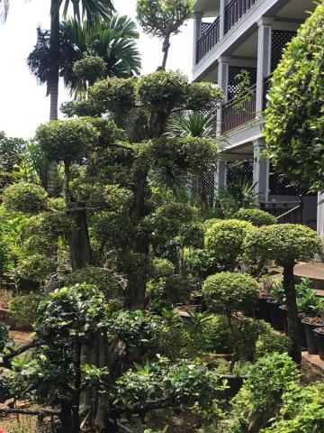 Pratum Resort — photo 14