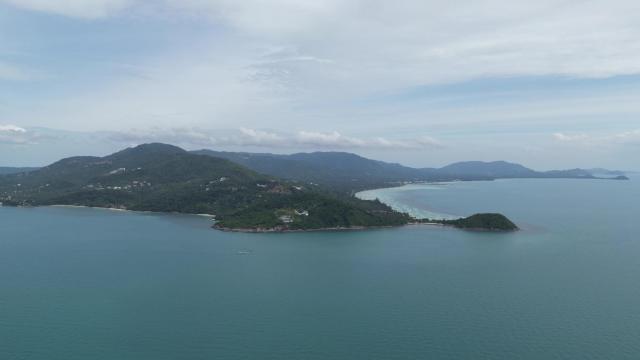 Golden Monkey Samui — photo 23