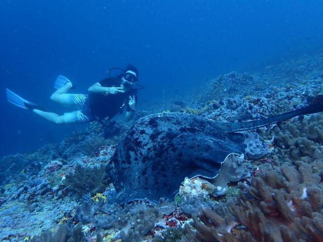 ViluVeli Holiday Retreat — photo 11