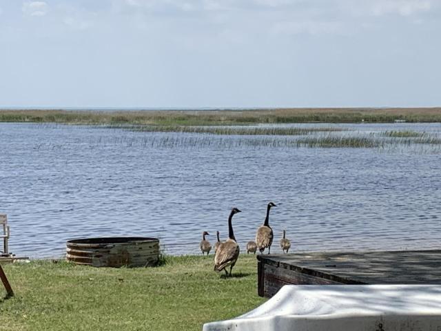 Cozy Cove Resort — photo 14