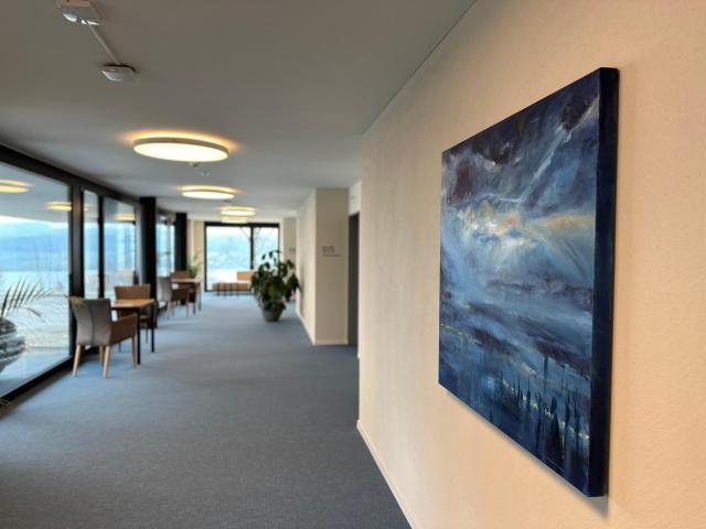 Aparthotel Beinwil am See — photo 11