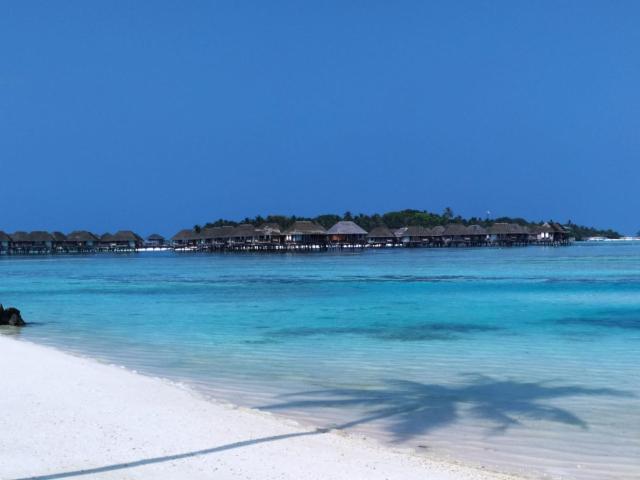 Courtyard Maldives — photo 15