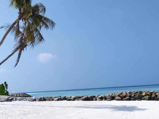 Courtyard Maldives — photo 18