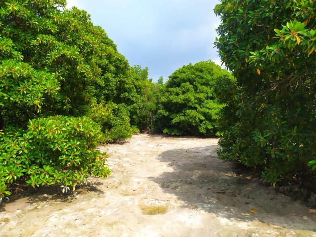Courtyard Maldives — photo 20