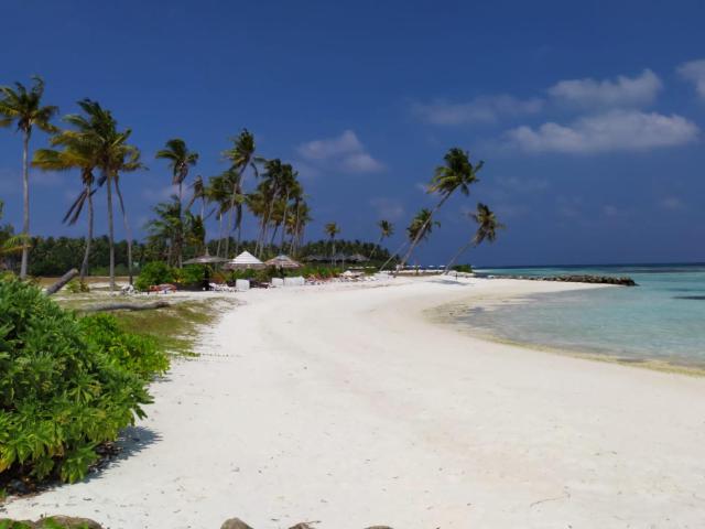 Courtyard Maldives — photo 6