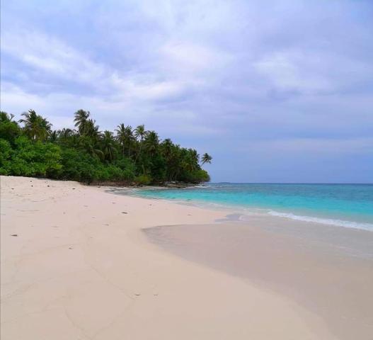 Saima Inn — photo 18