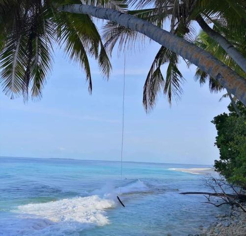 Saima Inn — photo 20