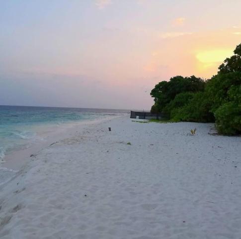 Saima Inn — photo 24
