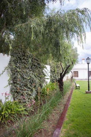 Tampu — photo 18