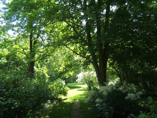 Auberge d'Inxent — photo 22