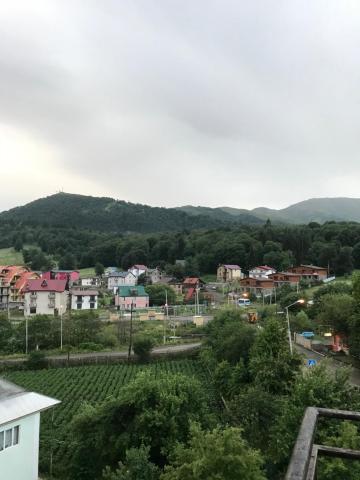 Hotel King David Bakuriani Mountain View — photo 17