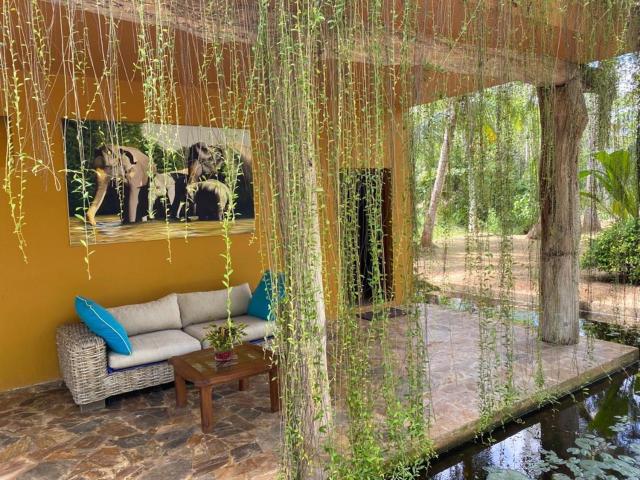 Mangrove Beach Chalets — photo 15